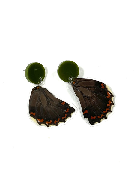 butterfly wings - tiny rust accents