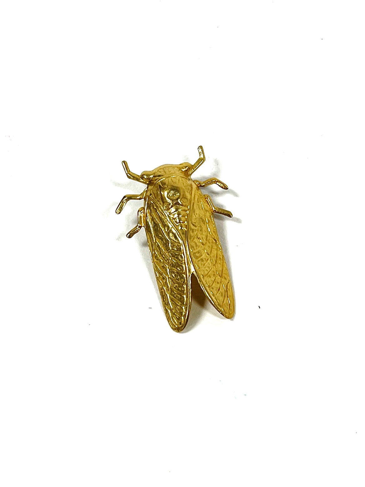 Brass Jewelry - cicada pin