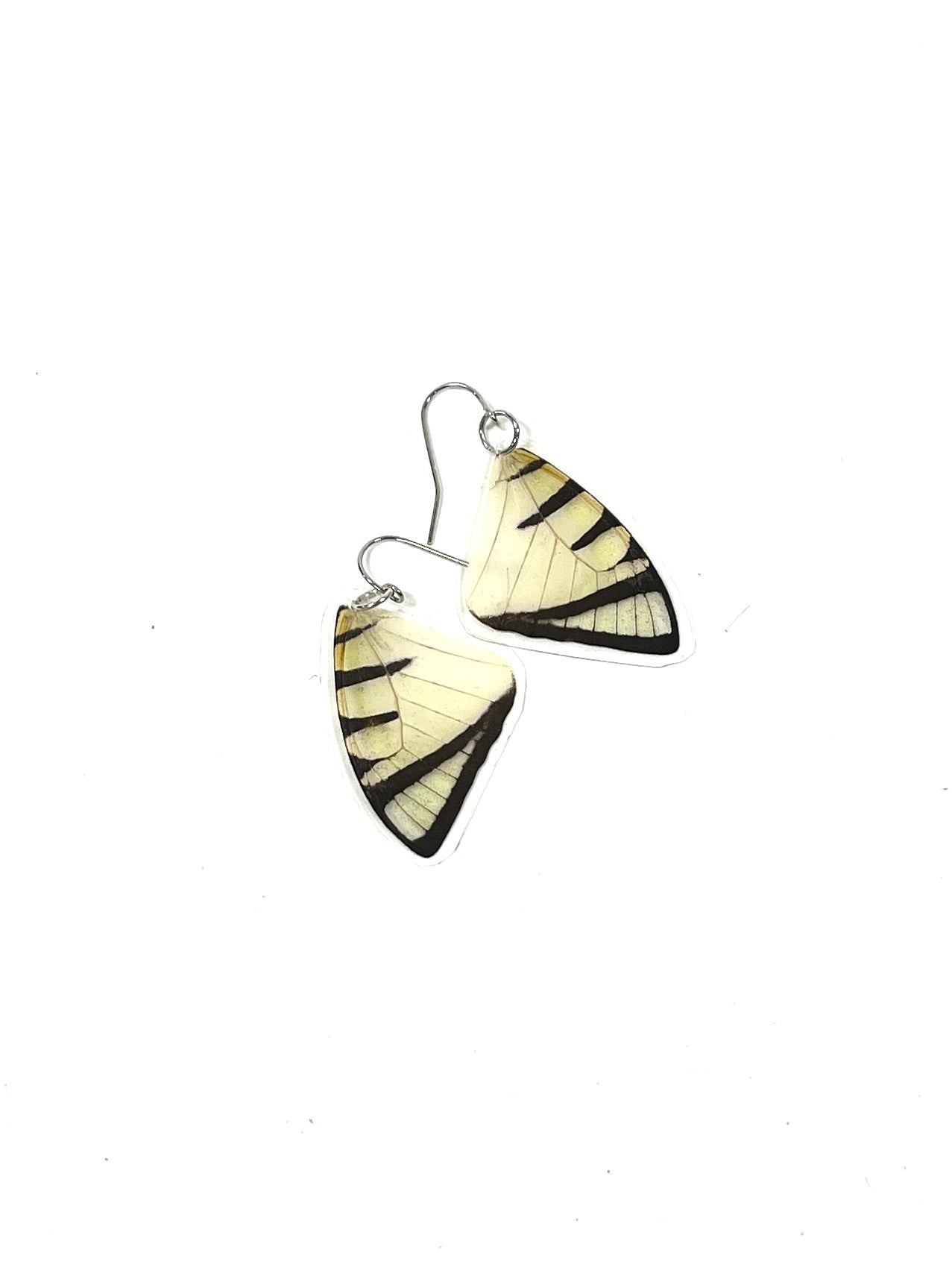 butterfly wings - razor stripes