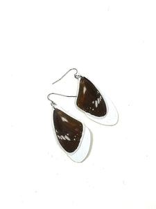 butterfly wings - brown with ivory