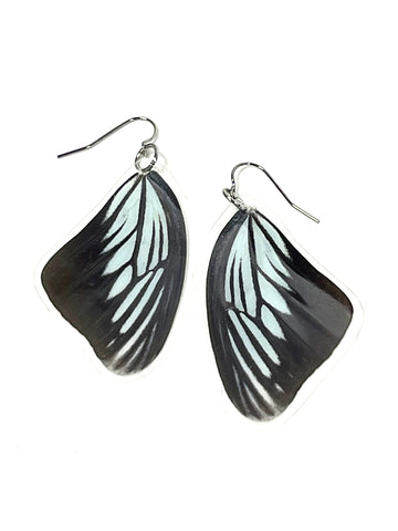butterfly wings - light blue and black