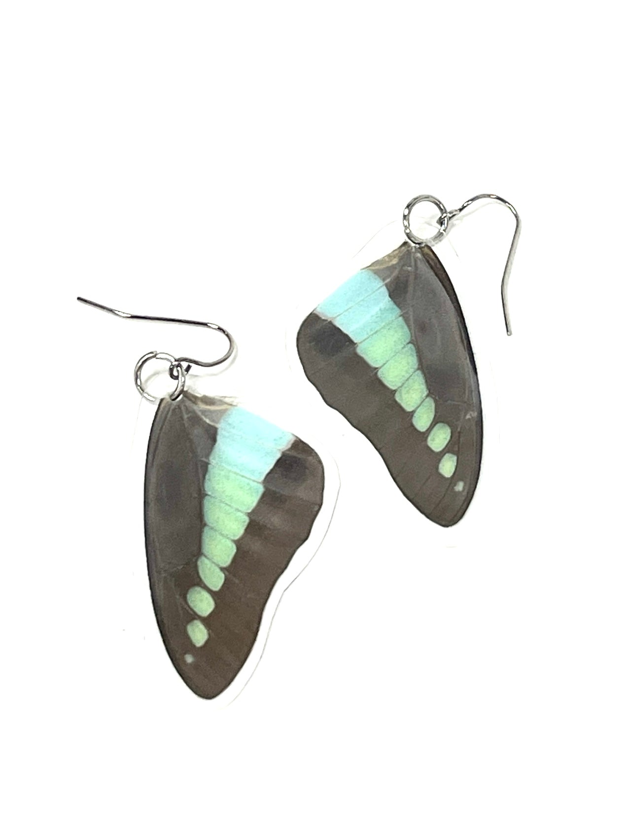butterfly wings - sea colors