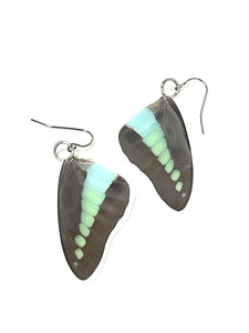 butterfly wings - sea colors