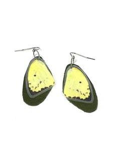 butterfly wings - yellow and green